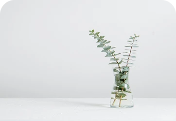 A glass vase containing two green leafy stems on a white surface
